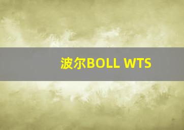 波尔BOLL WTS